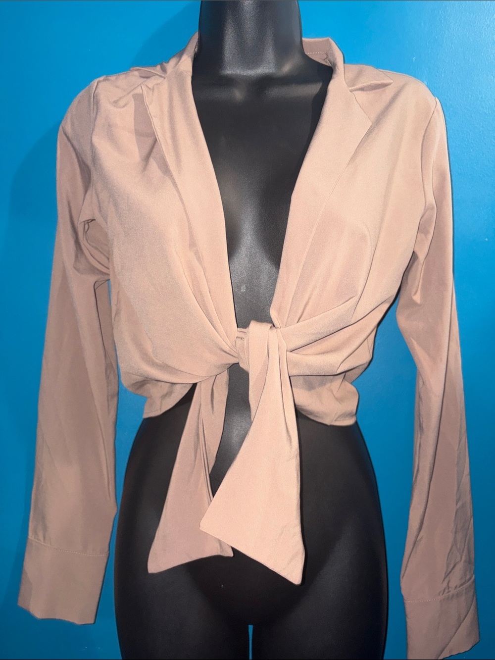 Hot Miami Styles Blush Tie-Front Long Sleeve Crop Top